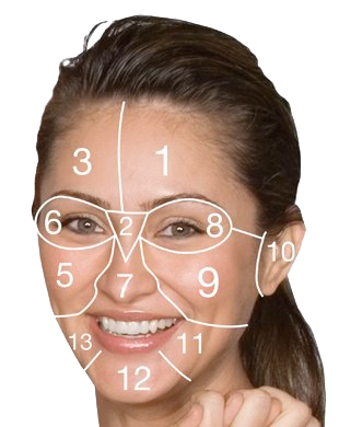face-mapping